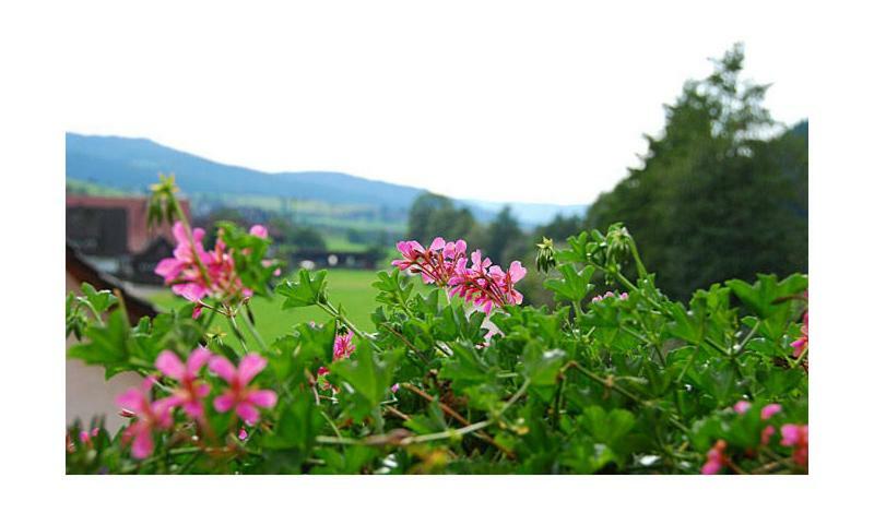 Pension Haus Rose Oberharmersbach Exterior foto